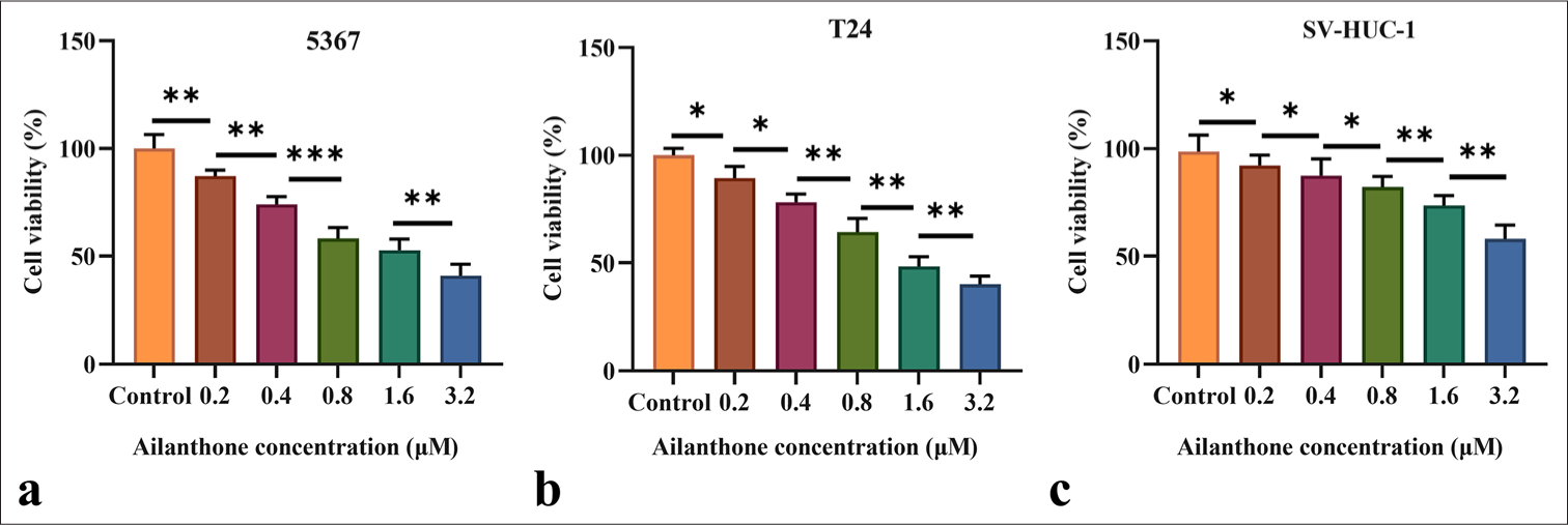 AIL effectively inhibit the proliferation in 5637, T24, and SV-HUC-1 cells. (a-c) The effects of AIL on the proliferation of 5637 (a), T24 (b), and SV-HUC-1 (c) cells were assessed (n = 6). (✶P < 0.05, ✶✶P < 0.01, ✶✶✶P < 0.001). AIL: Ailanthone; SV-HUC-1: Simian Virus 40 (SV40) transformed Human Uroepithelial Cell Line 1.