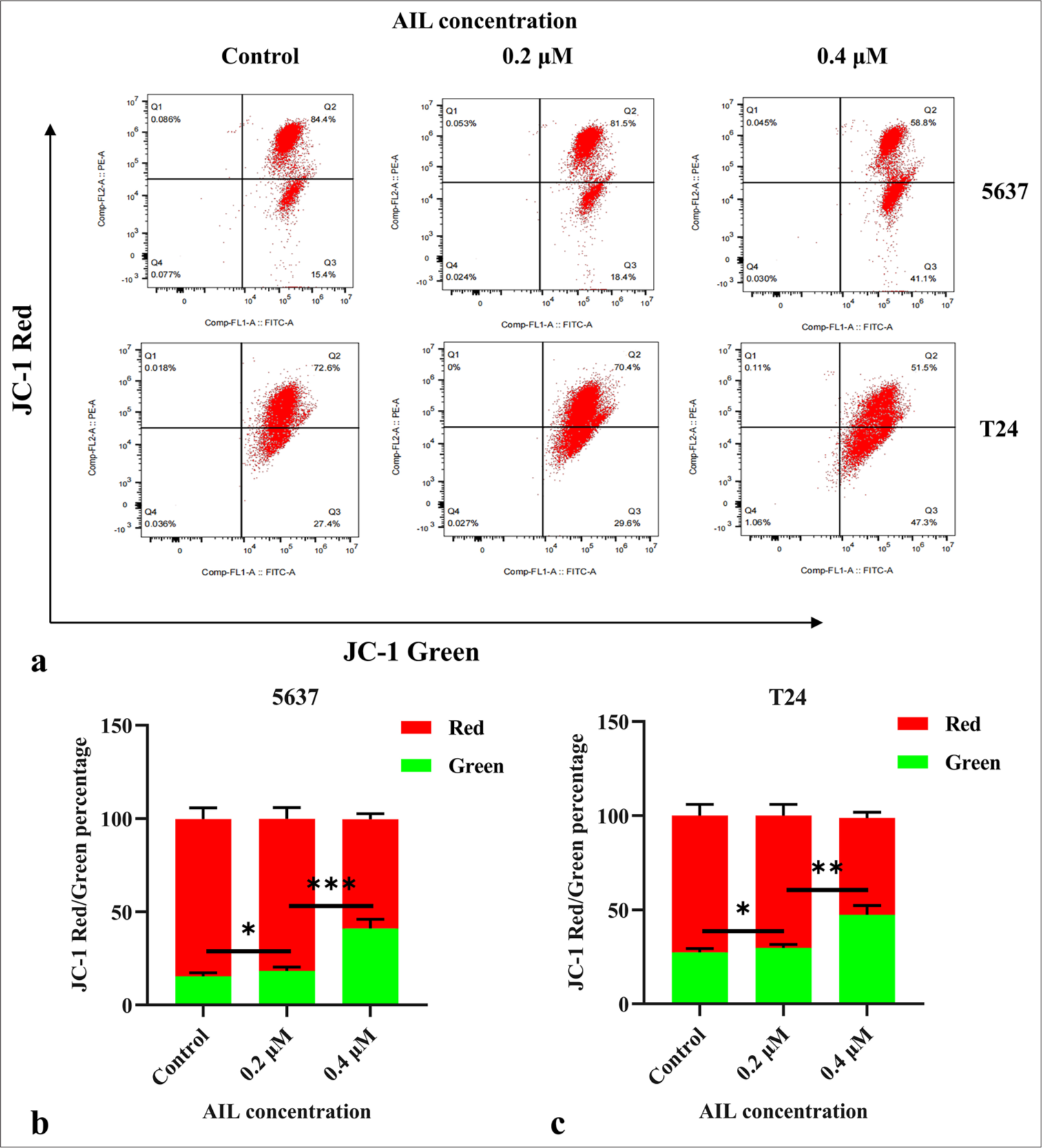 AIL reduces membrane potential across the mitochondria in BC cells. (a-c) The effect of AIL on the membrane potential across the mitochondria in BC cells was examined (n = 3; ✶P < 0.05, ✶✶P < 0.01, and ✶✶✶P < 0.001). AIL: Ailanthone, BC: Bladder cancer, JC-1: 5,5',6,6'-Tetrachloro-1,1',3,3'-tetraethylbenzimidazolylcarbocyanine iodide.