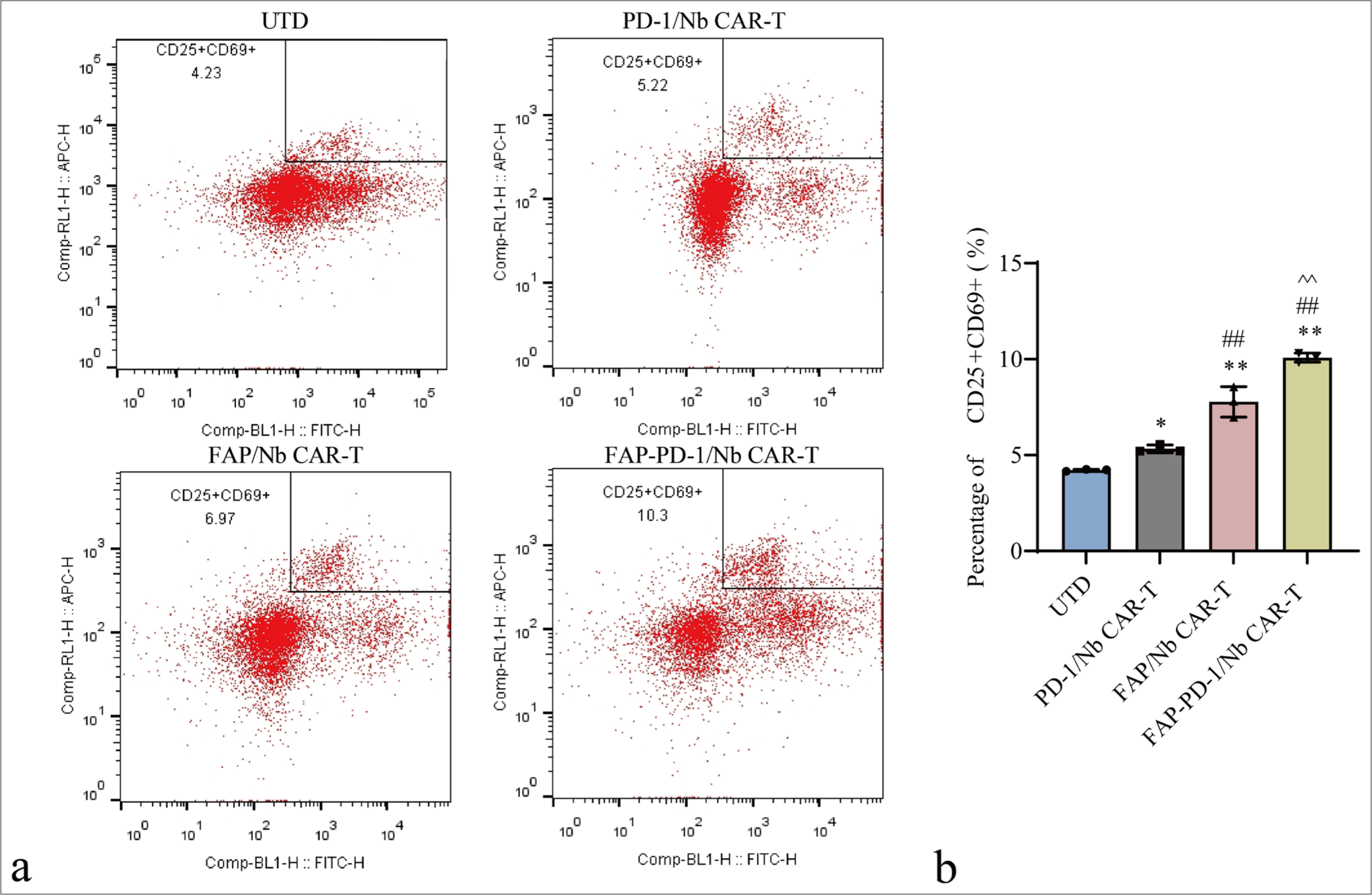 Flow cytometry analysis of CD25+CD69+ level on the surface of CAR-T cells. (a) Representative flow cytometry plots showing the expression of CD25+CD69+ on the surface of CAR-T cells. (b) Quantification of CD25+CD69+ levels. n = 3. ✶P < 0.05, ✶✶P < 0.01 (vs. UTD control). ##P < 0.01 (vs. PD-1/Nb CAR-T). ^^P < 0.01 (vs. FAP/Nb CAR-T). CAR-T: Chimeric antigen receptor T cell, CD: Cluster of differentiation, UTD: Untreated, Nb: Nanobody, PD-1: Programmed cell death protein 1, FAP: Fibroblast activation protein.