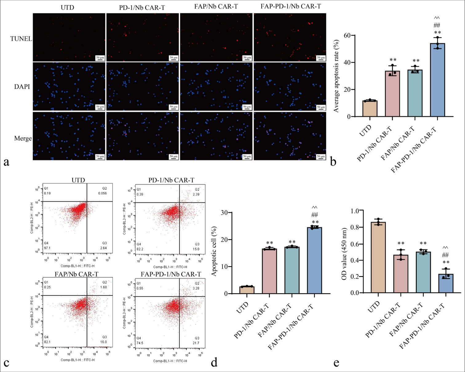 Effects of FAP-PD-1/Nb CAR-T cells on FAP-positive CRC cells. (a and b) TUNEL assay assessing apoptosis in HCT116 cells. (c and d) Flow cytometry analysis determining apoptosis. (e) CCK-8 assay evaluating proliferation in HCT116 cells (n = 3; ✶✶P < 0.01 vs. UTD; ##P < 0.01 vs. PD-1/Nb CAR-T; ^^P < 0.01 vs. FAP/Nb CAR-T). n = 3. CAR-T: Chimeric antigen receptor T cell, TUNEL: Terminal deoxynucleotidyl transferase dUTP nick end labeling, CCK-8: Cell counting kit-8, FAP: Fibroblast activation protein, UTD: Untreated, Nb: Nanobody, PD-1: Programmed cell death protein 1, CRC: Colorectal cancer.