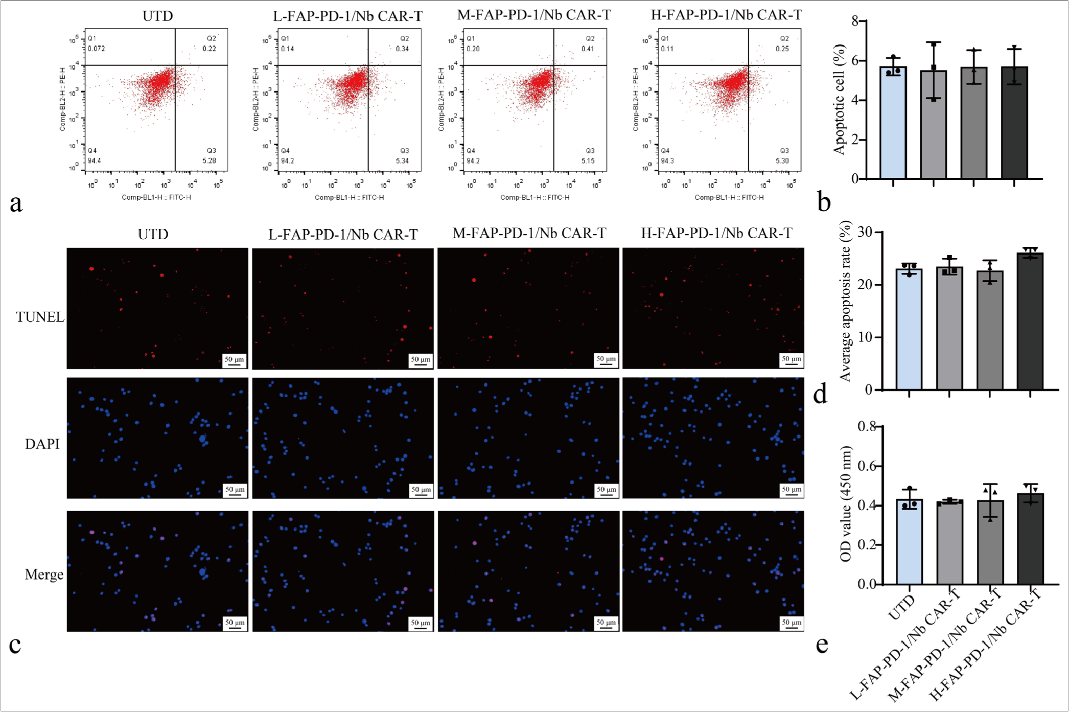 FAP-PD-1/Nb CAR-T Cells safety evaluation. (a and b) Flow cytometry analysis of apoptosis in PBMCs co-cultured with different concentrations of different CAR-T cell types. (c and d) TUNEL assay for detecting cell apoptosis. (e) CCK-8 assay for detecting cell proliferation. Data are representative of three independent experiments. n = 3. CAR-T: Chimeric antigen receptor T cell, PBMC: Peripheral blood mononuclear cell, TUNEL: Terminal deoxynucleotidyl transferase dUTP nick end labeling, CCK-8: Cell counting kit-8, Nb: Nanobody, FAP: Fibroblast activation protein, PD-1: Programmed cell death protein 1.