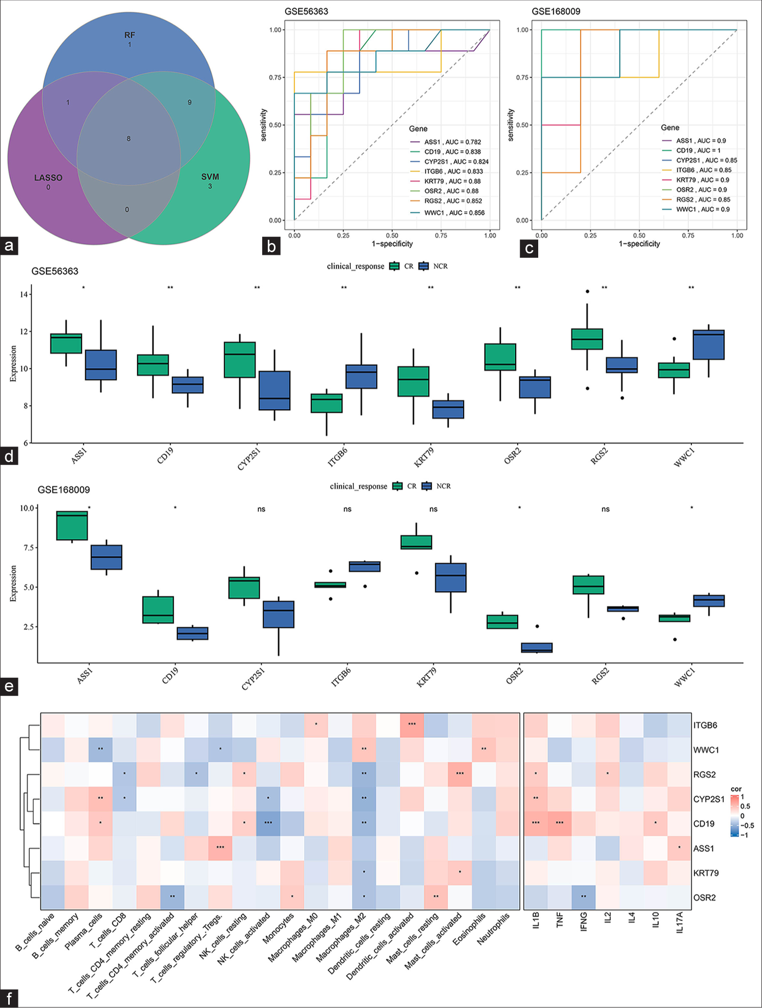 Sorting and validation of CCRT-related biomarkers. (a) Common CCRT-related biomarkers in the GSE56363 dataset sorted on the basis of LASSO regression, SVM-RFE, and random forest analyses. (b and c) ROC curve of the common CCRT-related biomarkers in the (b) GSE56363 and (c) GSE168009 datasets. (d and e) Differential expression of the common CCRT-related biomarkers in different groups of patients. (f) Correlation of the common CCRT-related biomarkers and different types of immune cells. ns: Not significant, P > 0.05; ✶P < 0.05; ✶✶P < 0.01; ✶✶✶P < 0.001. CCRT: Concurrent chemotherapy and radiotherapy, LASSO: Least absolute shrinkage and selection operator, SVM-RFE: Support vector machines recursive feature elimination, ASS1: Argininosuccinate synthase 1, CD19: Cluster of differentiation 19, CYP2S1: Cytochrome P450 2S1, ITGB6: Integrin subunit β6, KRT 79: Keratin 79, OSR2: Odd-jump-associated transcription factor 2, WWC1: WW and C2 domain containing 1 gene, RGS2, Regulator of G-protein signaling 2, TNF: Tumor necrosis factor, IFNG: Interferon-gamma, IL (1B, 2, 4, 17A, and 10): Interleukin (1B, 2, 4, 17A, and 10), AUC: Area under the ROC curve, SVM: Support vector machine, RF: Random forest, CR: Complete response, LASSO: Least absolute shrinkage and selection operator, NCR: Non-complete response, ROC: Receiver operating characteristic.