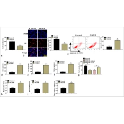 Article figure