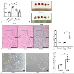 Article figure