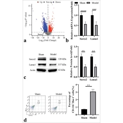 Article figure