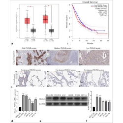 Article figure