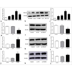 Article figure