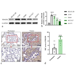 Article figure