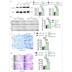 Article figure